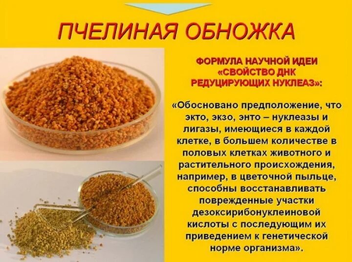 Польза пыльцы для человека. Пыльца пчелиная. Пыльца пчелиная полезные. Пчелиная пыльца лечебные. Пыльца Цветочная обножка.