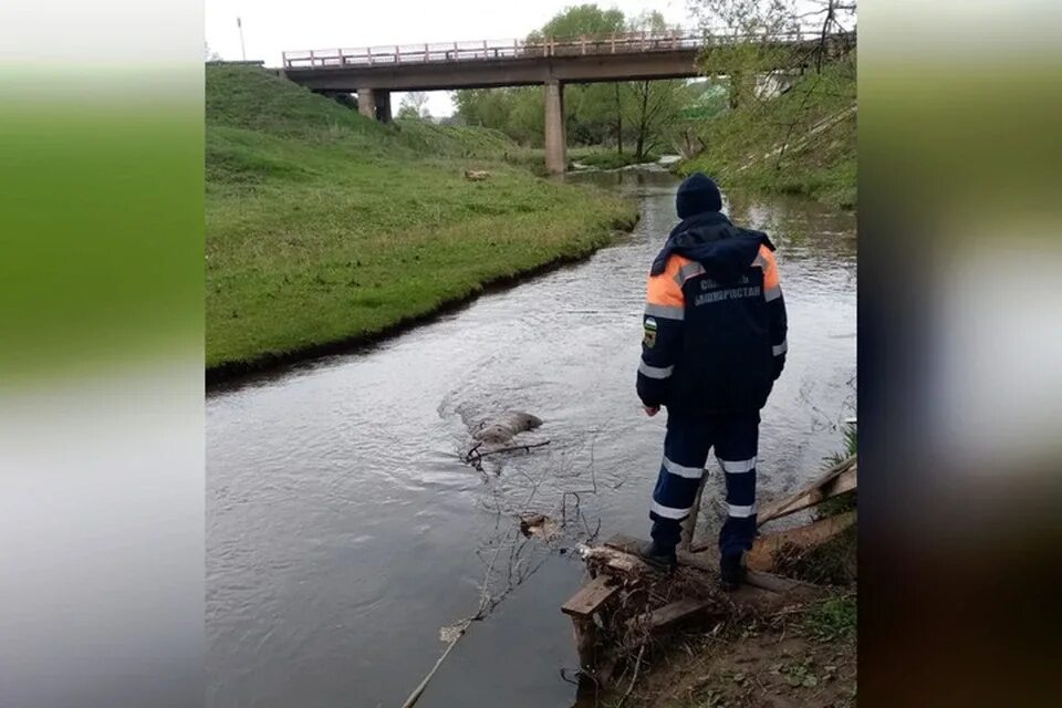 Он уже не всплывет: Под Тольятти мужчина погиб после прыжка в воду Подробнее: ht