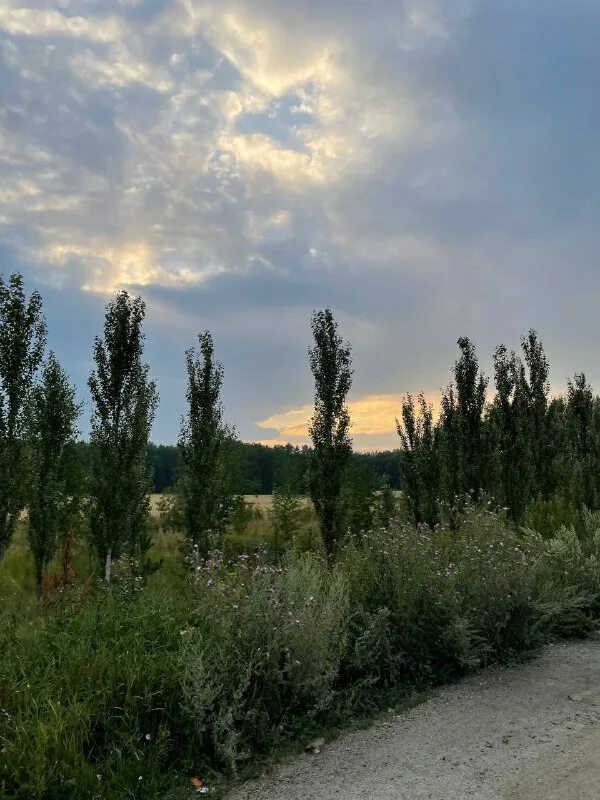 Климатообразующие факторы географическая широта. Суровый климат сибири. Климат довольного. Холмистая равнина ульяновской. Климат довольного.