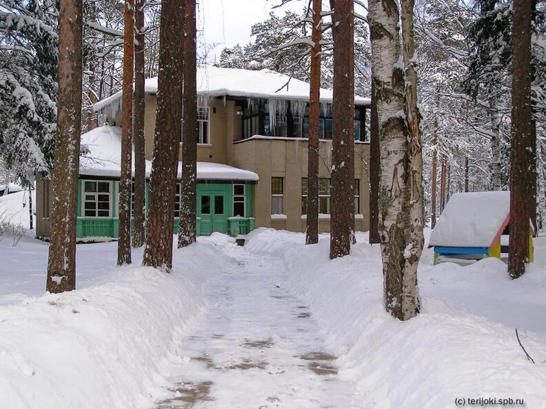 Детский санаторий звездочка ушково. Санаторий звездочка ушково. Санаторий звездочка санкт-петербург зеленогорск. Санаторий звездочка санкт-петербург зеленогорск. Санаторий звездочка санкт-петербург зеленогорск.