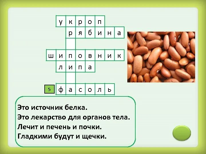 Кроссворд таблетки. Кроссворд на тему лекарственные растения. кроссворд лекарственные растения. кроссворд на тему лечебные растения. кроссворд лекарственные рас.