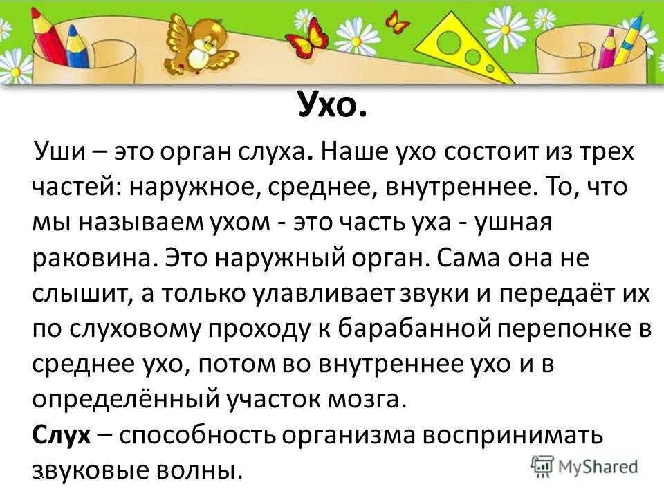 Виды слухов. Сообщение слухи. Сходства и различия органа слуха и зрения. Сообщение слухи. Доклад про слух.