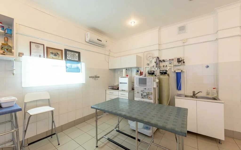 ул чекистов 28 санкт-петербург. ветеринарная клиника на турку 11к2. городская ветеринарная клиника, сестрорецк. ветеринарная клиника на коллонтай. прайд ветеринарная клиника спб.