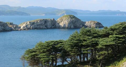 Дальневосточный заповедник природная зона