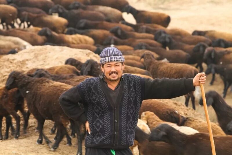 Узбек таджик киргиз туркмен. Пастухи Кыргызстан. Пастух Киргиз. Пастух казах.