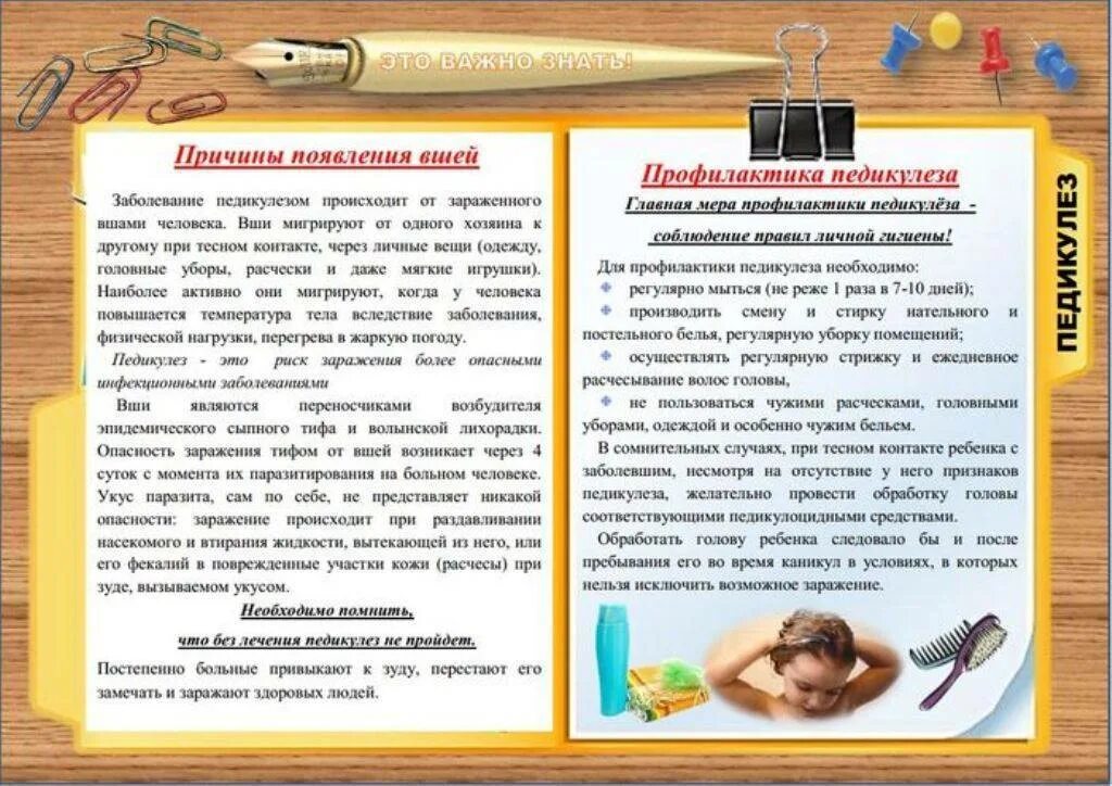 Профилактика и борьба с педикулезом. Педикулез для родителей в детском саду. профилактика педикулеза. меры профилактики педикулеза. профилактика педикулеза у детей памятка.