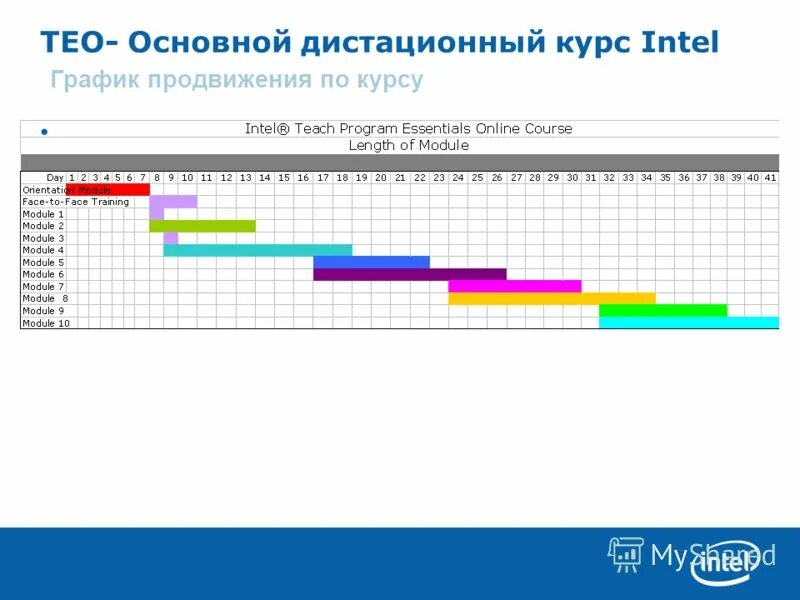курс стенографии. основные конструкции языка программирования. интел котировки. информатика 1 курс. 1 основной курс.