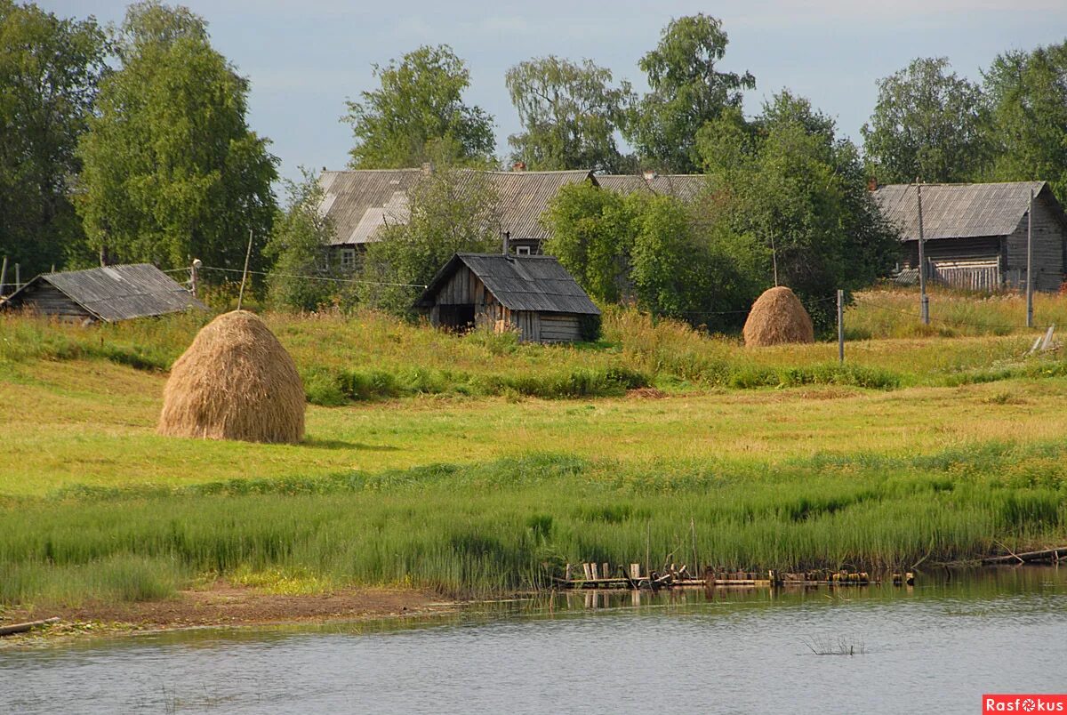 Фото деревни. Лето, деревня, сенокос, река. Лето в деревне. Природа лето деревня. Летняя природа в деревне.