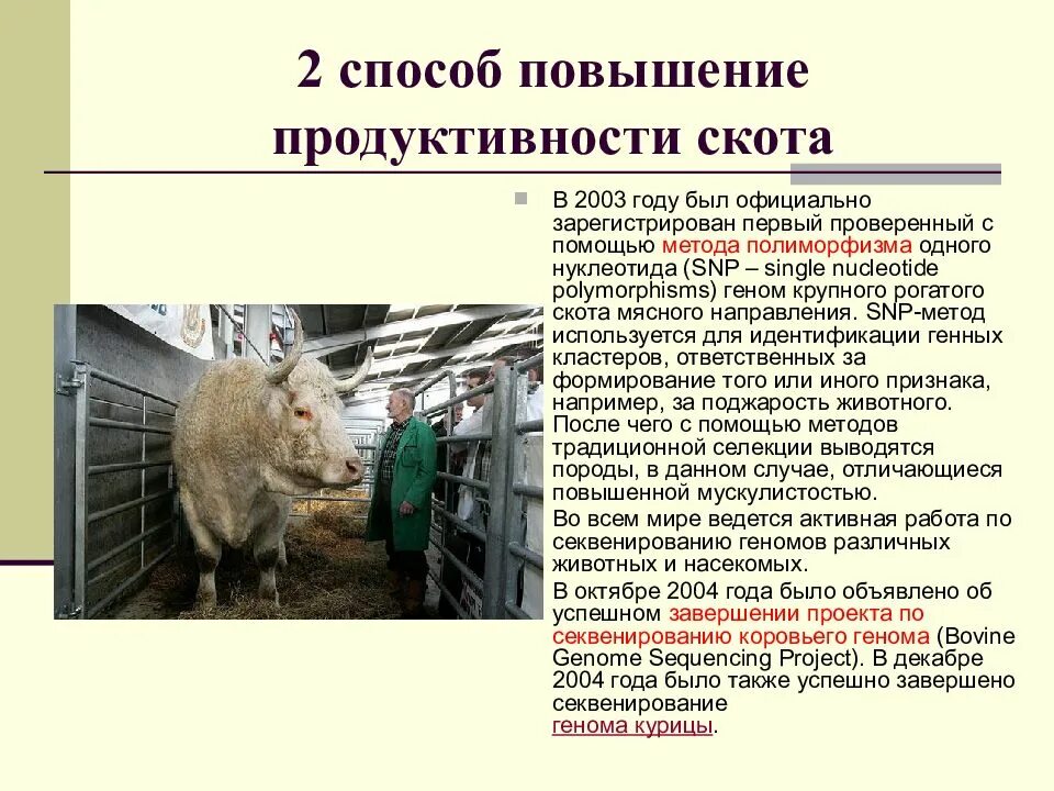 Химизация в сельском хозяйстве и животноводстве. Методы животноводства. 1с:селекция в животноводстве. Ветеринария в сельском хозяйстве. Совершенствование производства молока.