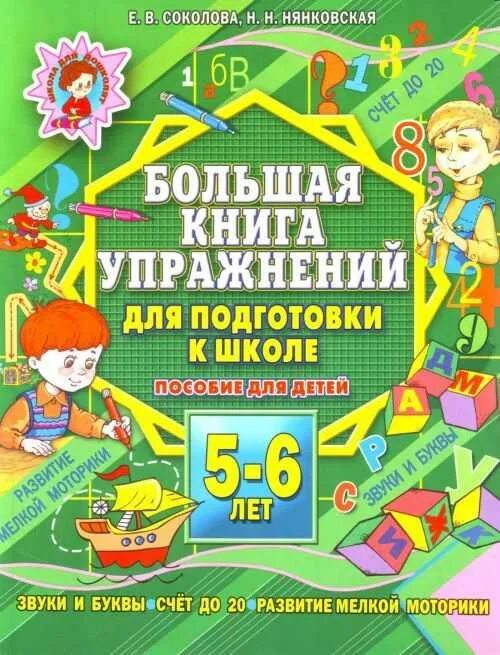 Пособия для занятий для 1 класса. Пособия для подготовки к школе для детей 5-6 лет. книги для подготовки к школе. подготовка к школе книги для детей. крига подготовка к школе.