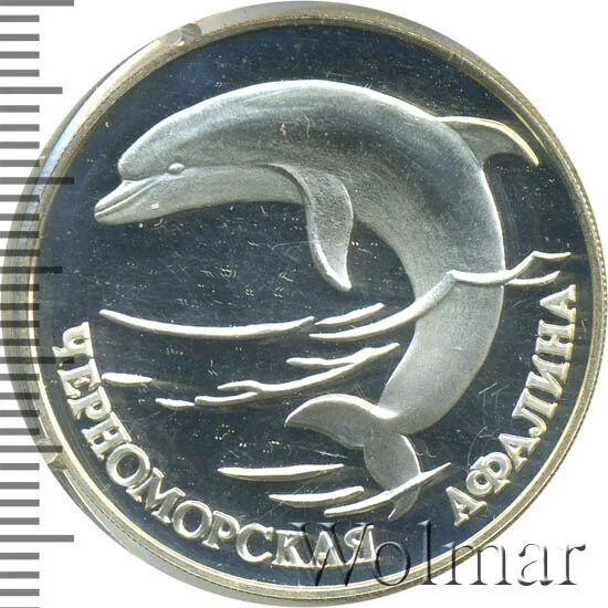 1 Рубль 1995 Афалина. Монета Черноморская Афалина один рубль. Трафарет Черноморская Афалина. Афалина Дельфин чёрного моря рисунок СССР на марке. Сайт афалина челябинск