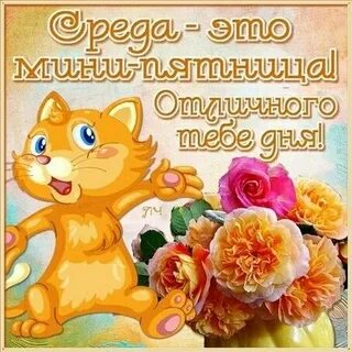Предложение со средой