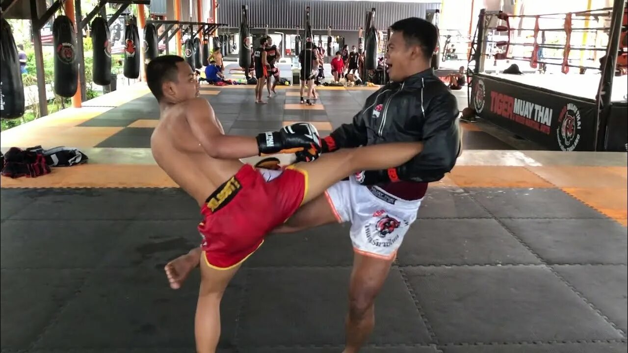 Тайгер Муай Тай. Тайгер Муай Тай Пхукет. Тайгер Муай Тай лагерь. Tiger Muay Thai and MMA Training Camp. Тайгер муай