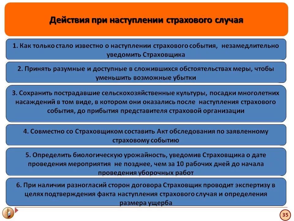 Действия при наступлении страхового случая. Последовательность действий при наступлении страхового случая. Действия страхователя при наступлении страхового случая. Алгоритм действия страхователя при наступлении страхового случая.