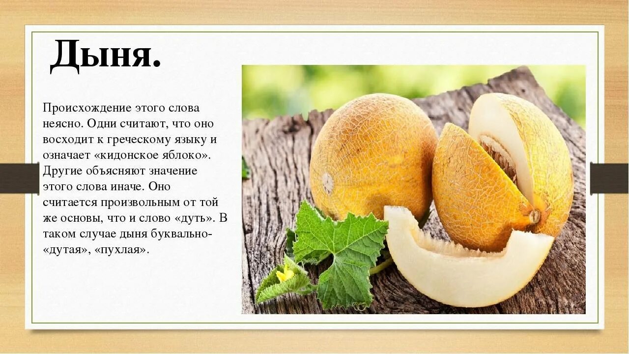 Дыня является. Дыня презентация. описание дыни. сообщение о дыне. дыня польза.