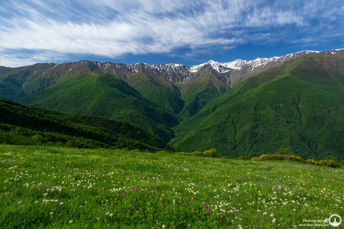 Родина чеченцев