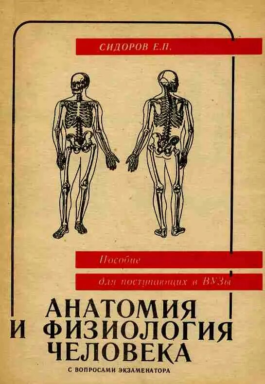 Физиолог человека. Анатомия и физиология человека книга. Анатомия и физиология человека Сидоров. Учебник по анатомии и физиологии человека. Книги по физиологии человека.