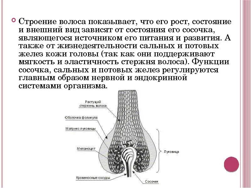 Строения зависит от