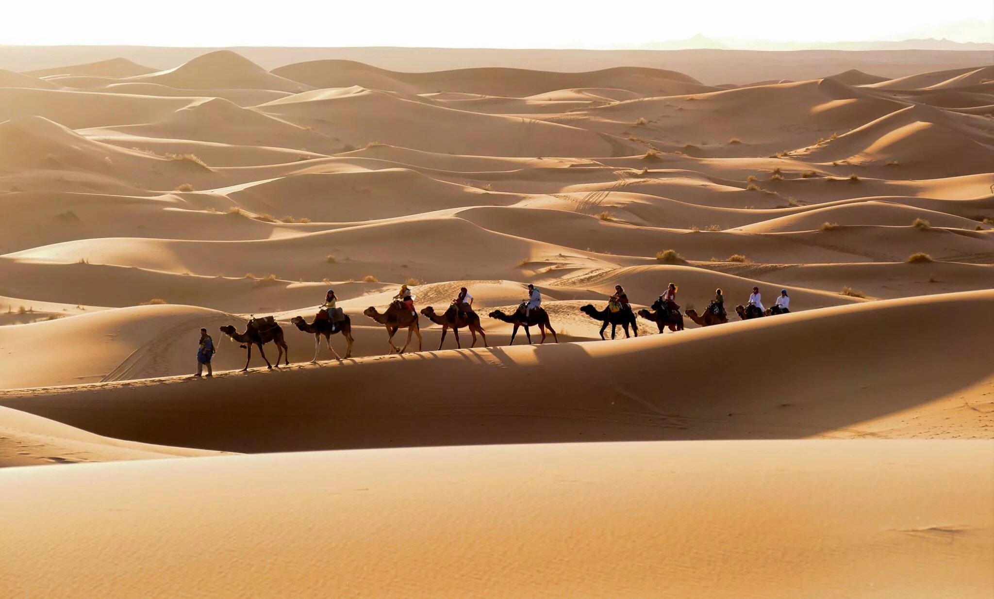 Пустыня эрг Эр Рави. Пустыня Караван Барханы. Марокко Барханы. Дюны Сахары Марокко.