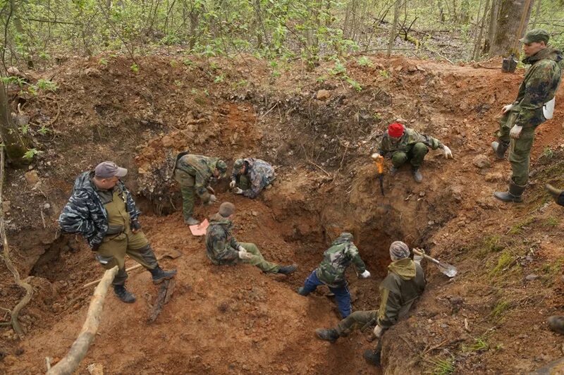 Боевой отряд полный провал дата выхода. Военно поисковый отряд. Поисковые отряды раскопки.