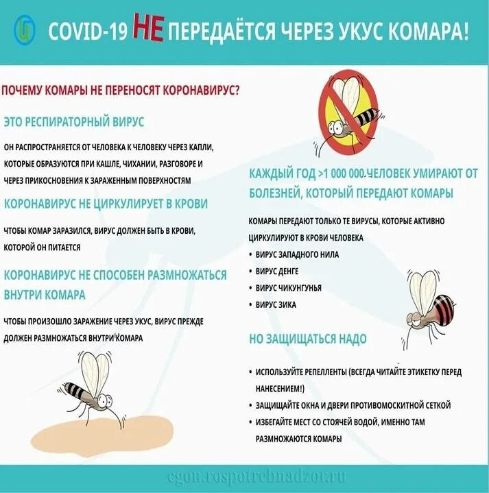 Почему чешется комариный