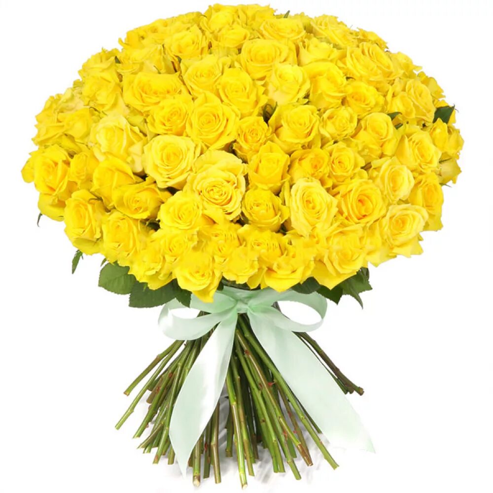 Огромные желтые букеты. Флорико 35 желтых роз, 40 см. Флорико 11 желтых роз, 40 см.
