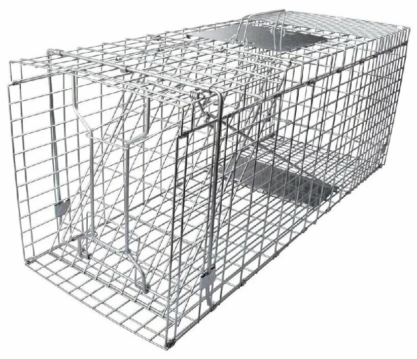 Котоловка. Котоловка. Ловушка пластиковая для кошек. Котоловка для кошек. Кошколовка котоловка 79х33х28см складная.