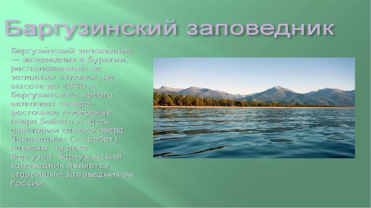 Баргузинский заповедник озеро Байкал. Заповедники России Баргузинский заповедник. Баргузинский биосферный заповедник Бурятия. Баргузинский заповедник животные. Природный заповедник россии написать