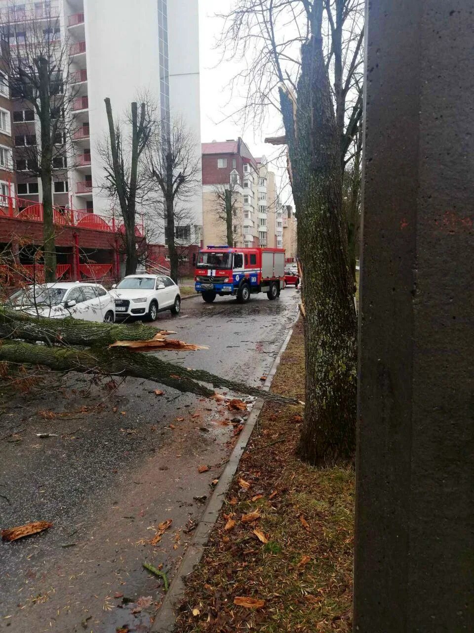 Ураган в минске сегодня. Ураган в беларуси видео. Ураган в минске. Торнадо в минске. Ураган в беларуси видео.