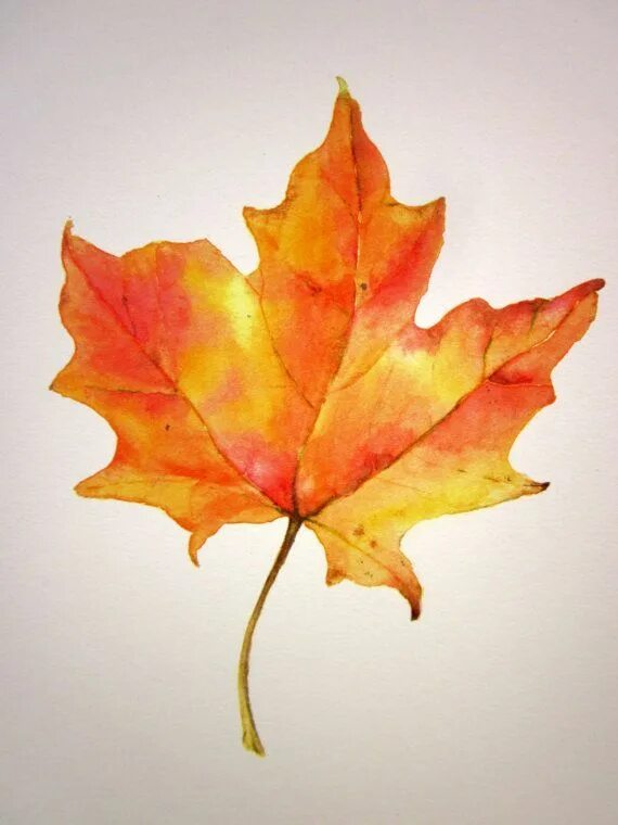 Fall leaves autumn leaves images free yellow leaves pictures clip art Leaf clipa
