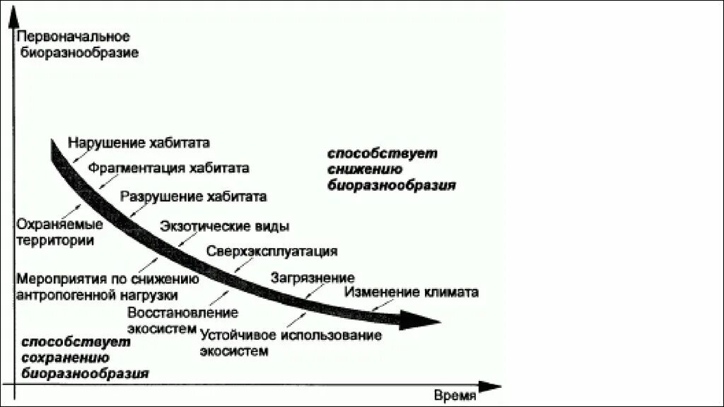 Основная причина сокращения видового разнообразия. Уменьшение биоразнообразия схема. Уменьшение биоразнообразия график. Сокращение биоразнообразия график. Уменьшение биологического разнообразия причины.