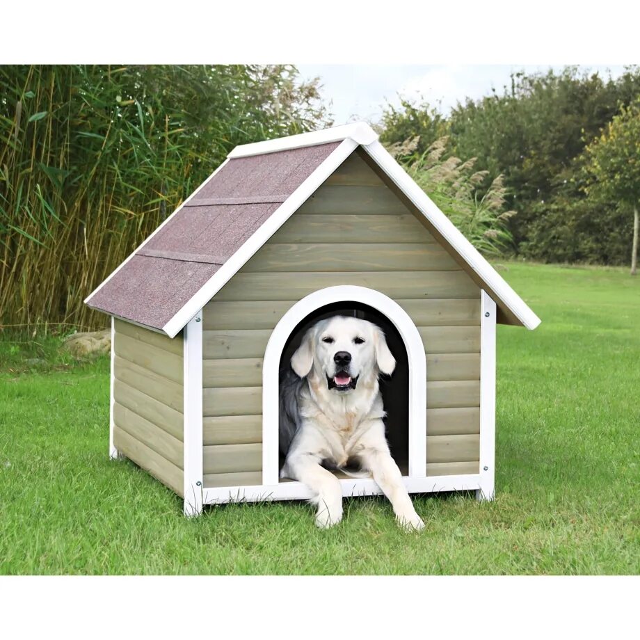 Dog indoor. Креативная будка для собаки. Дог хаус. Огромная будка для собаки. House.