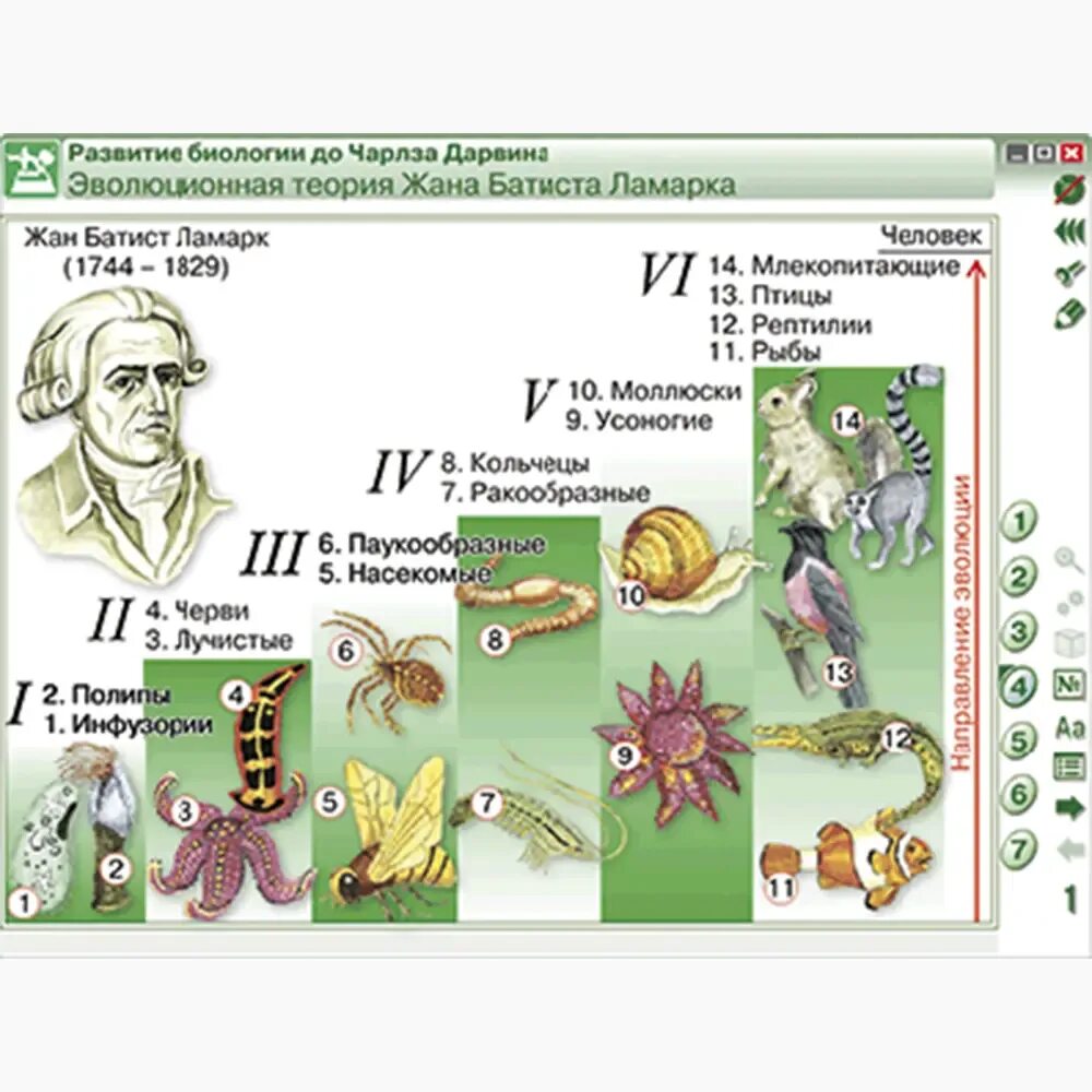 Темы для проекта по биологии 11. Темы для проекта по биологии 11. Темы для проекта по биологии 11. Темы для проекта по биологии 11. Наглядное пособие "биология".