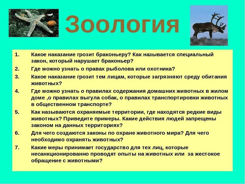 Вопросы по теме зоология. Викторина по зоологии. вопросы на тему зоология. викторина на тему биология. вопросы по зоологии.