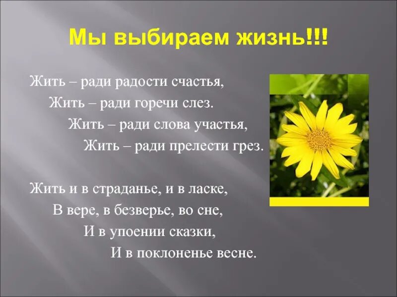Выбери жизнь выбери работу текст. Мы выбираем жизнь. мы выбираем жизнь презентация. я выбираю жизнь классный час. мы выбираем жизнь классный час.