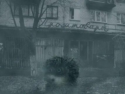 Туман смешные картинки