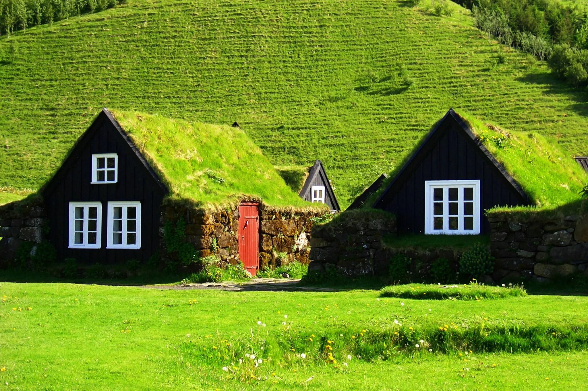 Земляная крыша. Зеленая кровля Скандинавия. Дом из дерна Исландия. Фарерские острова скандинавские домики. Зеленая кровля Норвегия.