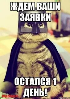 Буду ждать твоего письма