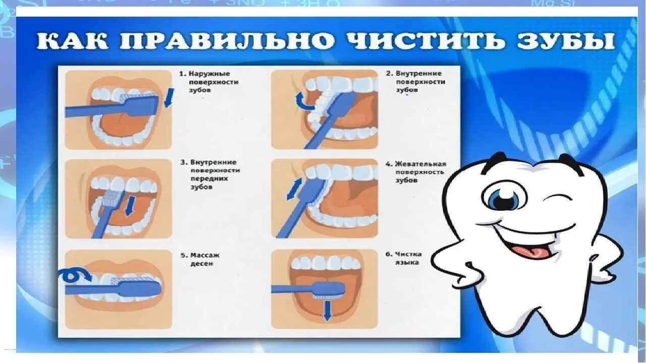 Как правильно чистить зубы видео взрослым. Как правильно чистить зубы видео взрослым