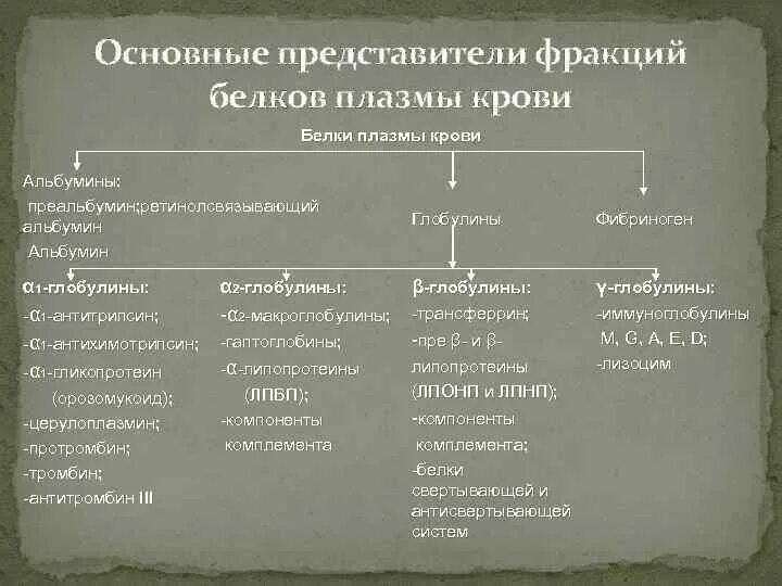 Белки плазмы фракции. Основные фракции белков крови. Фракции белков плазмы крови. Основные белки плазмы крови. Основные белковые фракции плазмы крови.