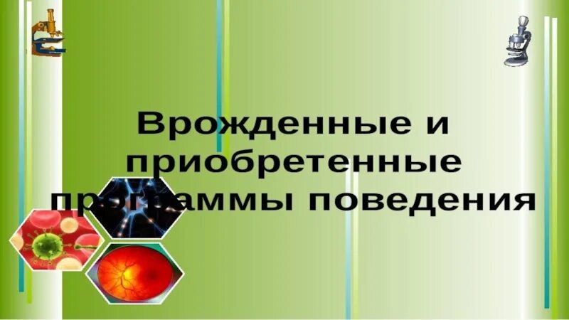 Врожденные и приобретенные программы поведения 8 класс биология. Приобретенные формы поведения 8 класс биология. Презентация на тему врождённые и приобретённые программы поведения.. Врожденное и приобретенное поведение 8 класс биология презентация.