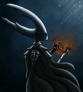 Hollow knight полый