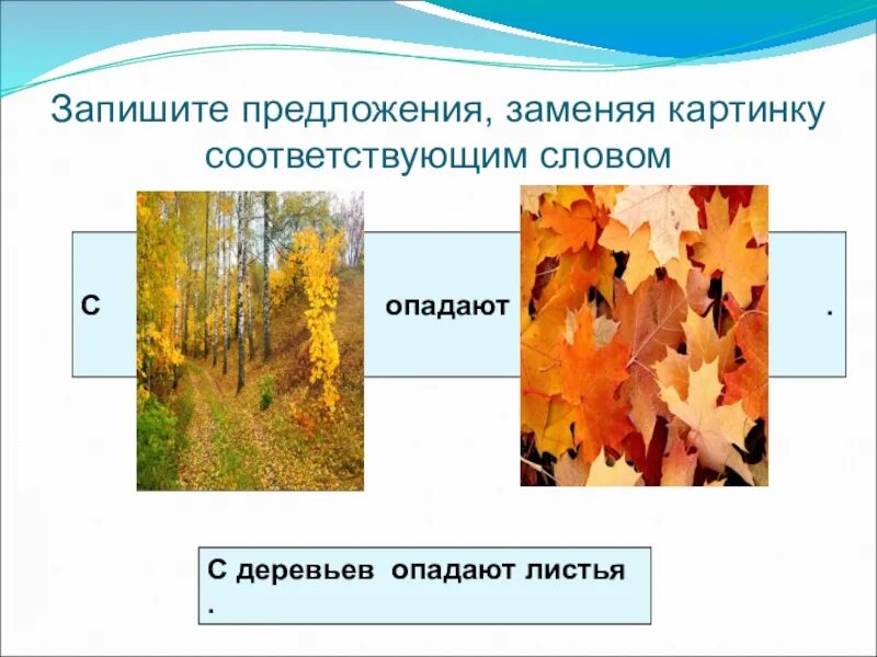 С деревьев листья опадают текст. Дерево с опавшими листьями. запиши предложения заменяя рисунки словами. листья опадают с деревьев предложения. сложные предложения 3 класс листья опадают с деревьев.