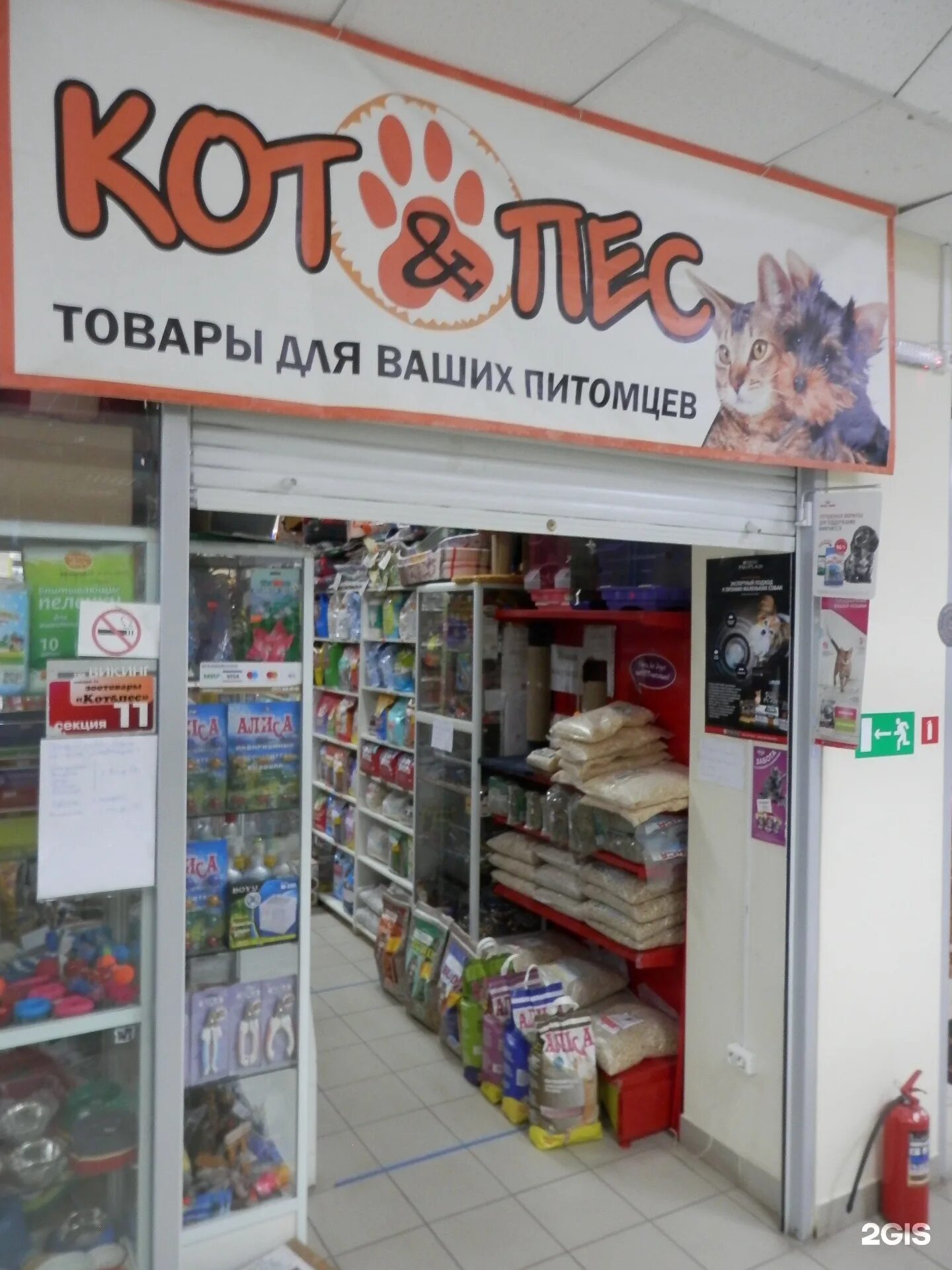 Магазин зоотоваров логотип. Кот и пес москва. Пес и кот георгиевск. Портал для кошек. Кот и пес кимры.