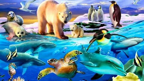 Animal world