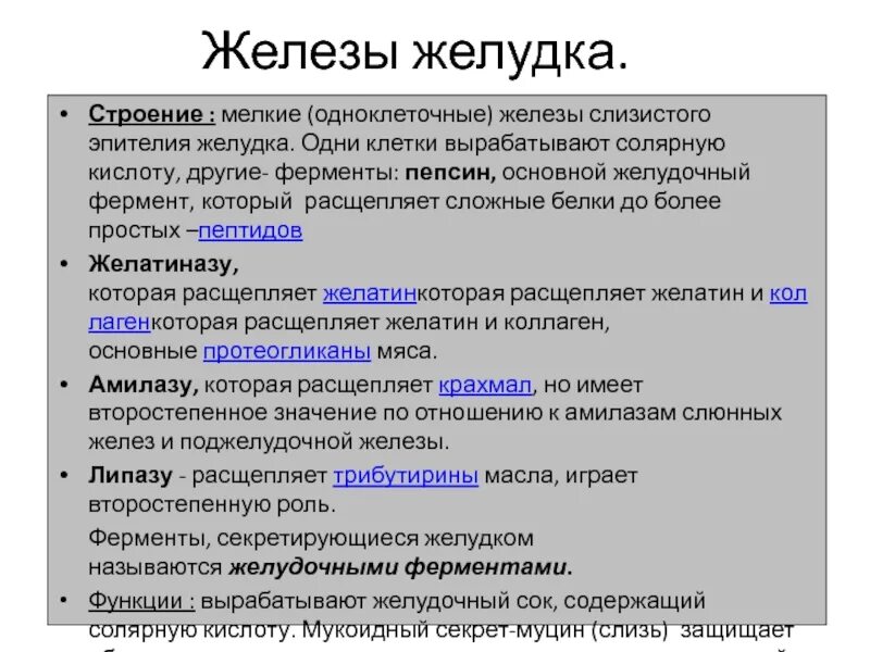 Ферменты желудочных желез. Железы желудка вырабабатывающие фермент Персин. Железы желудка вырабатывают фермент пепсин. Что секретируют железы желудка. Какие ферменты вырабатывают железы желудка.