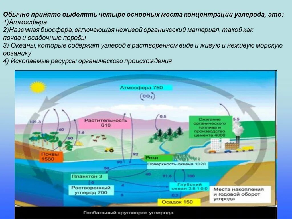 Круговорот углерода презентация. 5. круговорот веществ в биосфере. круговорот углерода. круговорот углерода (по ф. рамад, 1981). круговорот углерода в биосфере. круговорот углерода в атмосфере.