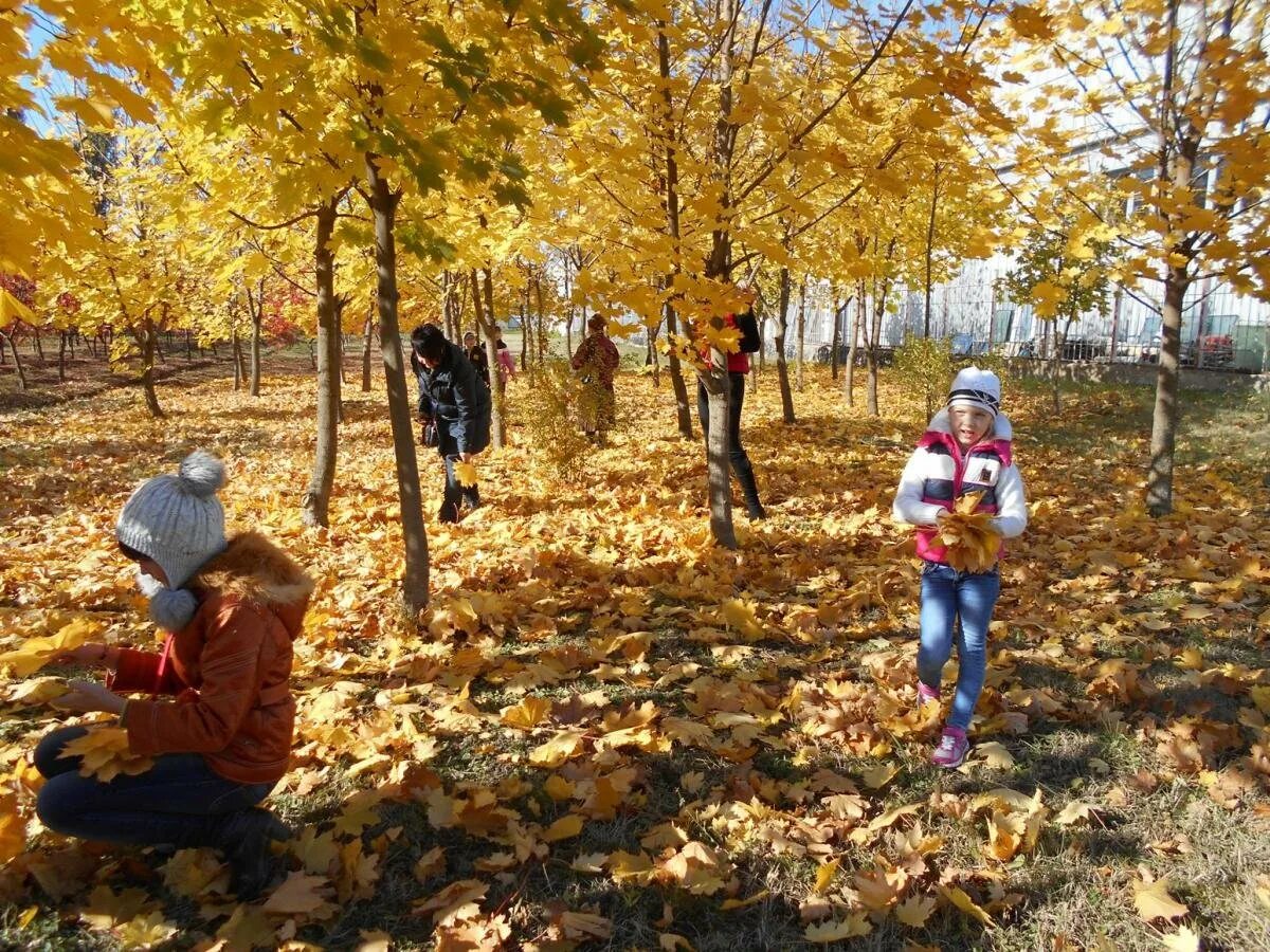 Экскурсия в осенний лес. Осенние прогулки с детьми. Осенняя прогулка. Дети на прогулке осень. Осенняя прогулка в детском саду.