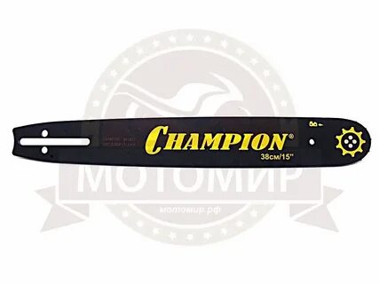 Champion 15