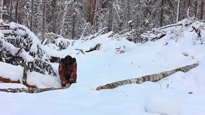 Жизнь охотников в глубинке. Таёжные истории жизнь охотников в глубинке. Охота на севере жизнь охотников в диких безлюдных местах. Таежный быт охотников Алтая. Таёжные истории жизнь охотников в глубинке видео.